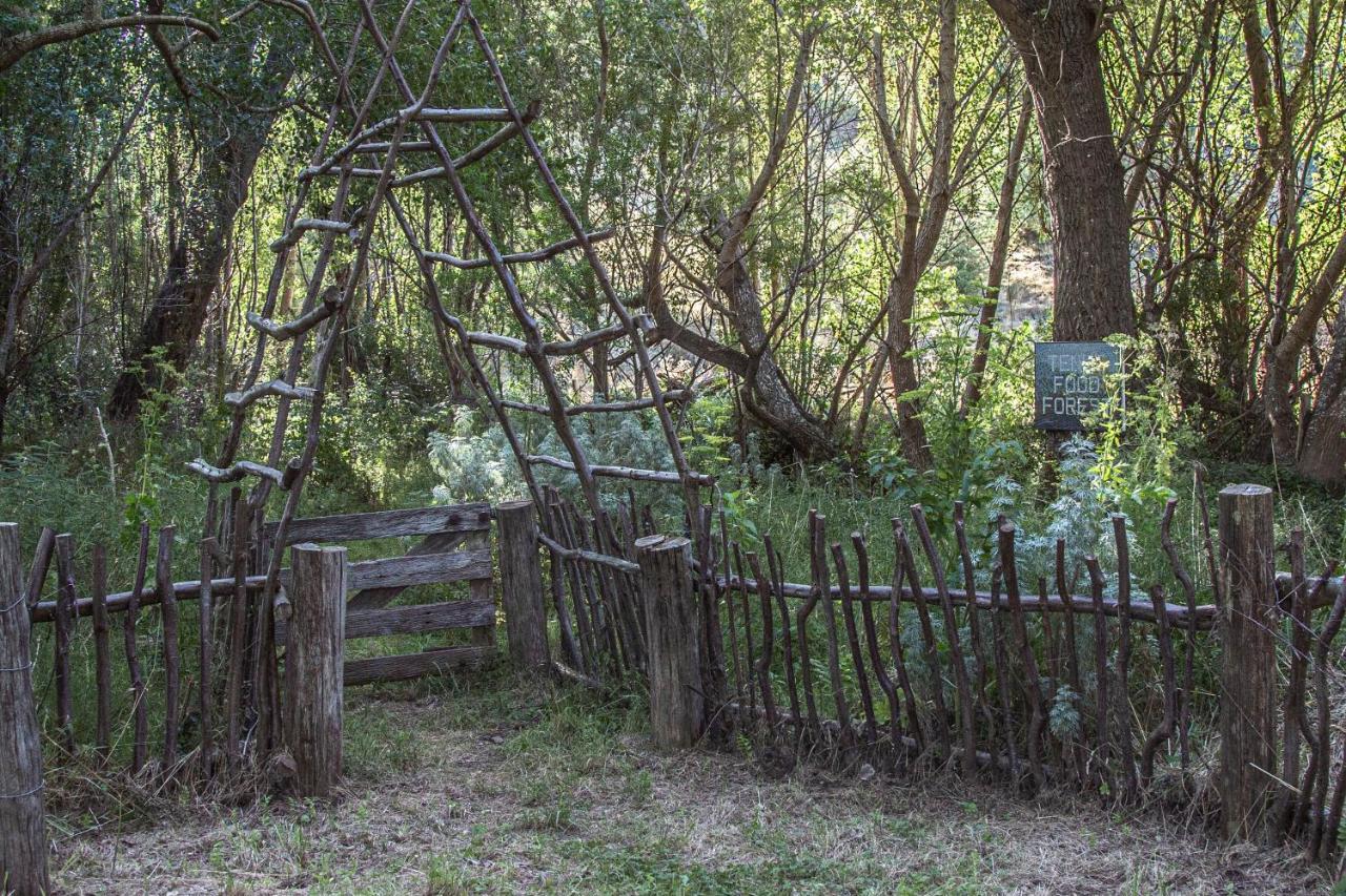 Tinui Food Forest Cottage Whareama Exterior foto